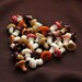 Glass lampwork charms Mushrooms