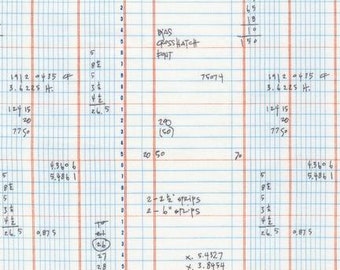 Architextures Spreadsheet Ivory - 1/2yd