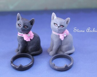 Cute kitties with rings