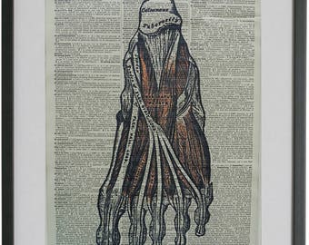 Anatomy Foot Print No.482, anatomy foot poster, anatomy art, medical poster, medical gift, medical school, dictionary art, anatomy poster
