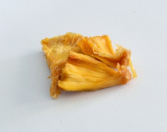 Sammie's Pineapple Mix - Hermit Crab Food - Organic - Hermit Crab - Pet Food