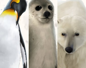 The Winter Animals Collection