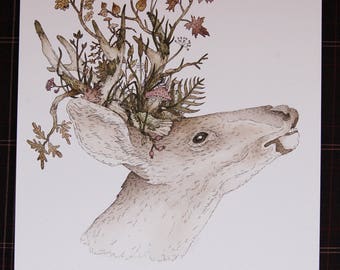 ORIGINAL Autumn Buck Watercolour and Ink Illustration