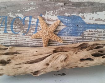 Beachy Pale Driftwood, Natural Driftwood, Driftwood Art, Driftwood***FREE SHIPPING***