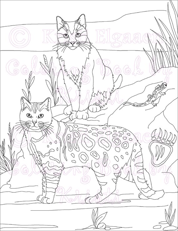 Adult Coloring Page Cats Cat Coloring Page Fantasy