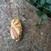 Gorgeous Hand Painted Oval Large Czech Glass Button Rich Amber Topaz and Gold - 53 x 27 mm