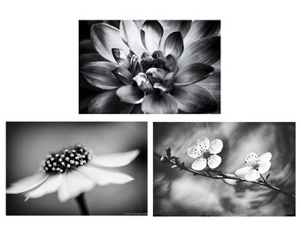Botanical Bathroom Print Set Set of 3 botanical prints bokeh