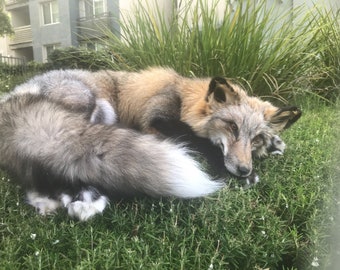 Cross Fox Soft Mount