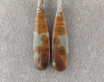Owyhee Picture Jasper Sterling Silver Earrings