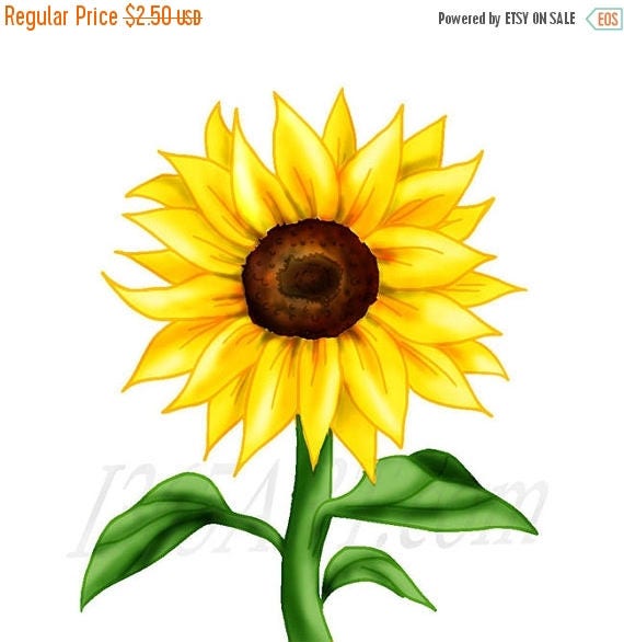 50 % Rabatt schöne Sonnenblume Clipart Sonnenblume ClipArt