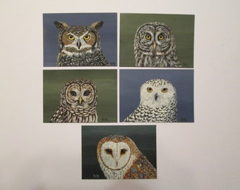 Set of 5 ACEO's from Owl Series by Ann Kelly