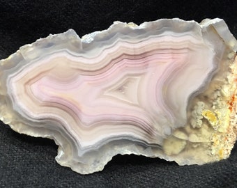 Laguna agate specimen