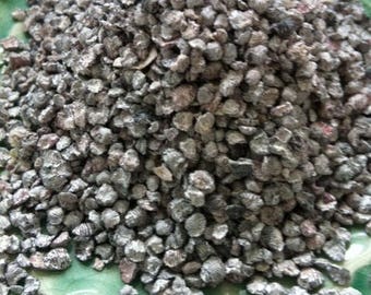 Cochineal Bugs - WHOLE - Dried Bugs - Natural Dyes - 1 ounce package