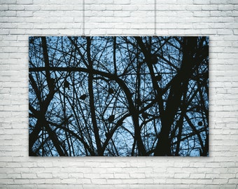 Birds in Tree Photograph, Nature Photography Prints, Large Bird Canvas Art, Rustic Home Decor, Birds Nursery Decor, Large Blue Wall Decor