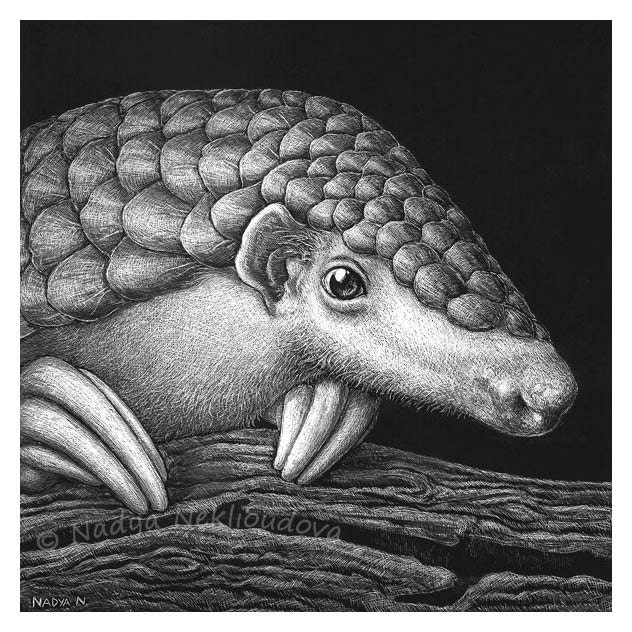 Pangolin Portrait art print 8x8 inches 20x20cm wildlife