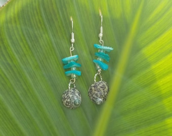 Silver Fishhook Earwires with Beached Shell with Turquoise Shell Pieces