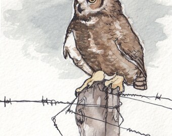 Great Horned Owl - Fine Art Print