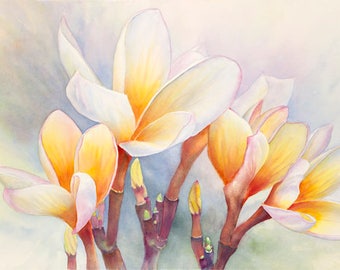 Plumeria Painting Art Print