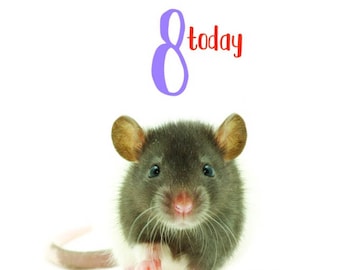 Hooded rat | Etsy Happy 8th Birthday Rat Card Cute Baby Hooded Blue Grey Dumbo Rat Blank Inside Photo Pet