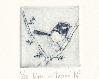 Superb Fairy Wren, Wren In Thorns, Original Dry Point Etching, Australian Native Bird, Miniprint