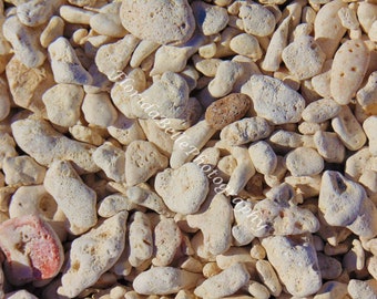Rocky beach in Key West, fl