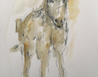 Original pen and ink drawing with watercolor wash "Lilly"