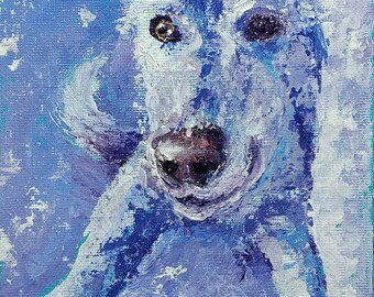 Goofy Pet, Goofy Portrait