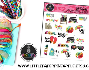 Lake Day Planner Stickers // Repositionable Matte Stickers // MS66
