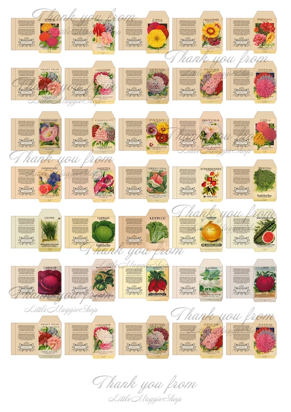 Download Miniature Seed Plant Packet digital printable sheet for
