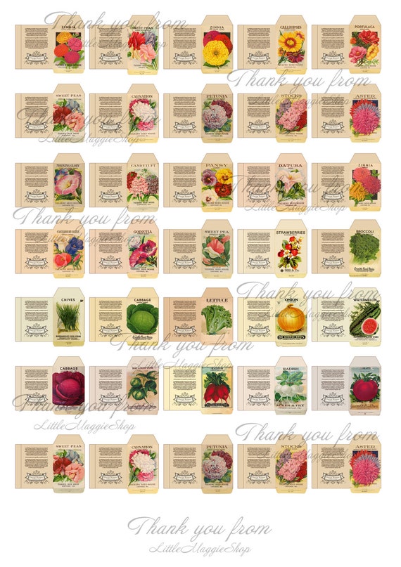 miniature seed plant packet digital printable sheet for