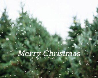Christmas Art, Christmas Photo, Christmas Tree 2