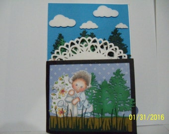 display card