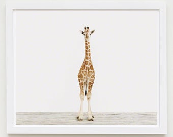 Baby Animal Nursery Art Print. Baby Giraffe No. 3. Safari Animal Wall Art. Animal Nursery Decor. Baby Animal Photo.