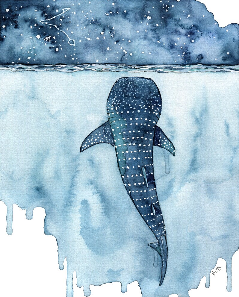 Uncategorized Whale Pictures To Print watercolor whale shark painting print titled stars
