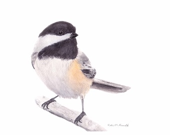 Chickadee Print of Original Watercolor Painting, animal,bird art, wildlife,nature,bird lover,black capped chickadee, birdwatcher