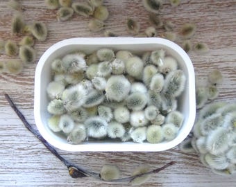 DIY Pussy willow/Catkins for crafting/Box with Catkins/Wish bottles Glass/Terrariums/Floral material/Floral supply/Verbiotics/Easter decor