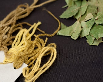 Natural Dye Kit - birch leaves yellow - organic wool - dyeing with plant dyes