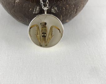 Praying mantis necklace