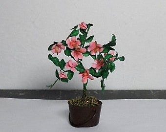 Dollhouse hibiscus