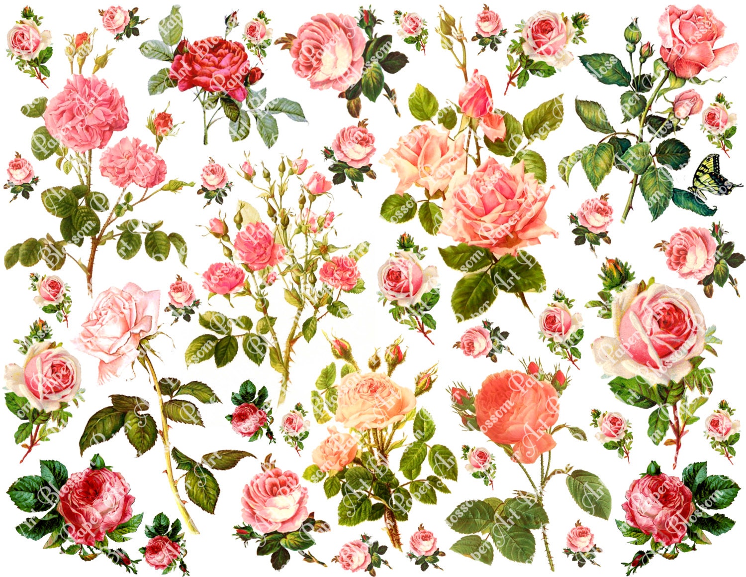 It's just an image of Striking Printable Images of Flowers It's just a photo of Striking Printable Images of Flowers