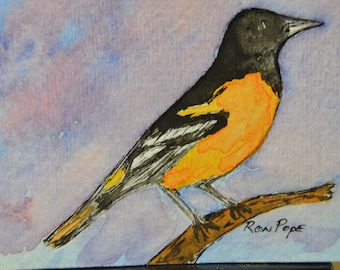 Original ACEO Watercolor Painting - Baltimore Oriole - Pen and Ink Art
