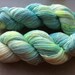 Hand-dyed MERINO single ply 100 gram skein ENGLISH 400 meters CHARMING