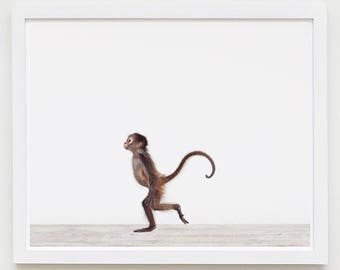 Animal Nursery Art Print. Baby Monkey No. 2. Safari Animal Wall Art. Animal Nursery Decor. Baby Animal Photo.
