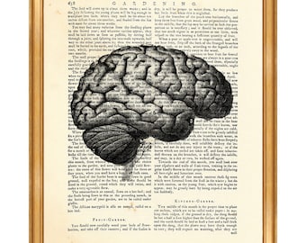 Anatomy Art, Anatomy Gift, Anatomy Print Human Brain Dictionary Art Print Medical Wall ArtAnatomy Poster Gift For
