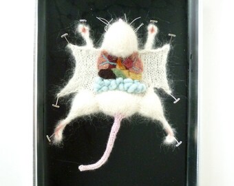 White Knitted Lab Rat in an actual dissection tray