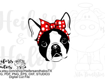 Bandana boston terrier digital file, digital cut file, printable, sublimation, svg, pdf, png, eps, dxf, cricut, silhouette, t-shirt design