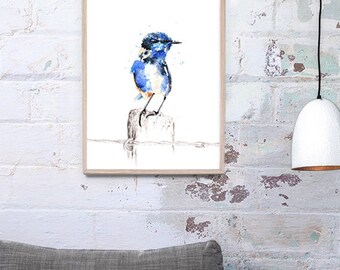 Australian Splendid fairywren, Australian Native Bird, Fairywren Art Print A3, A2 & A1 Bird Watercolour Illustration giclee Art Print