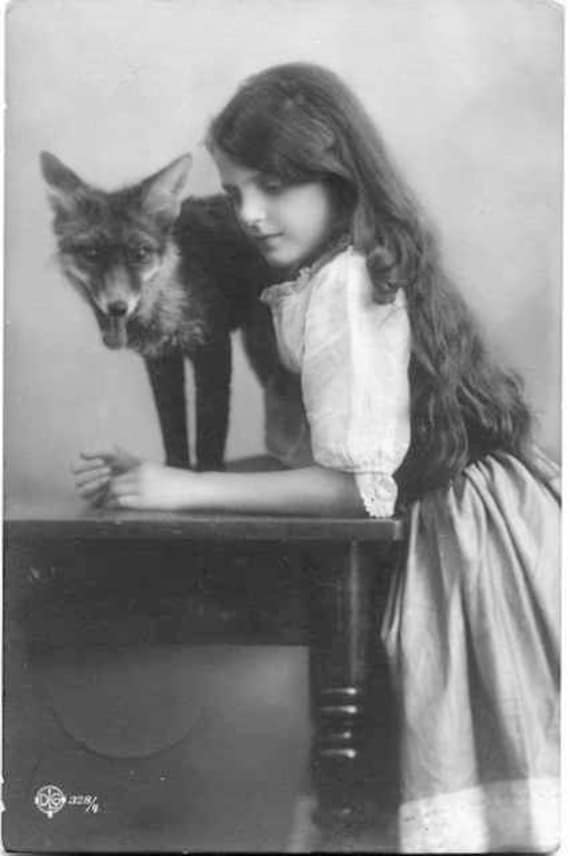 Fox and girl unusual vintage photography victorian edwardian Fox and girl unusual vintage photography victorian edwardian