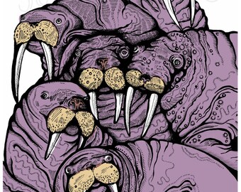 A group of walruses illustration (A3 print)