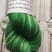 Elliebelly Juliet Fingering Weight Yarn - "Egan"